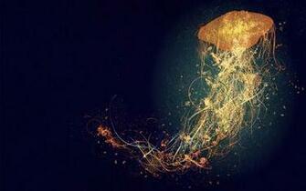 Colorful Jellyfish Wallpaper