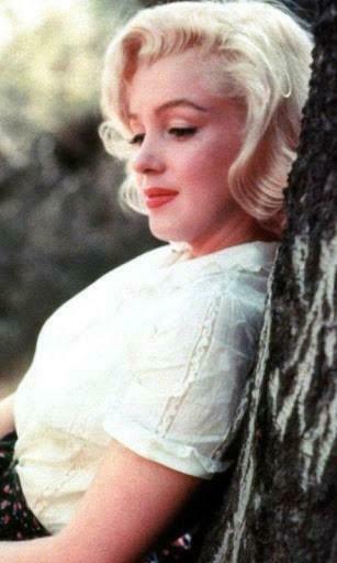 Marilyn Monroe Live Wallpaper For Android By Makur Mob