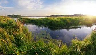 Wetlands Wallpaper Gallery