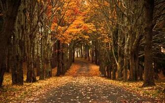 Late Autumn Mac Wallpaper