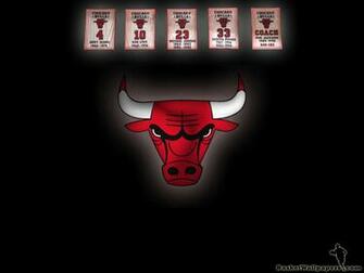 Chicago Bulls Logo Large Image