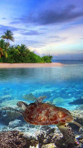 Galaxy S6 Edge Background HD Windows Wallpaper