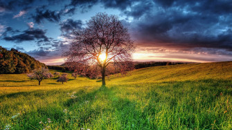 HD Nature Wallpaper