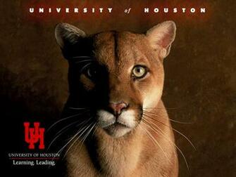 University Of Houston Themes Screensavers Desktop Background