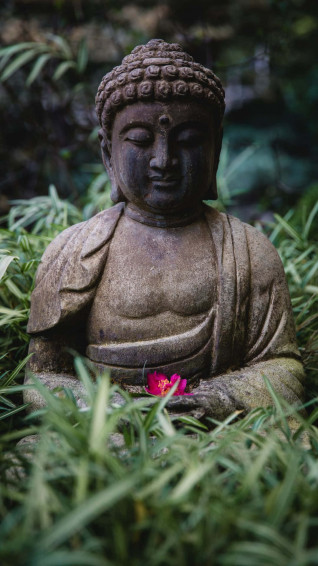 Meditation iPhone Wallpaper