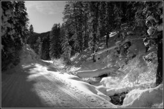 Black And White Nature Pictures HD Desktop
