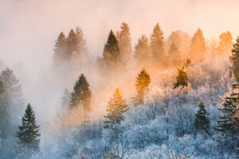 Best Winter Instagram Captions And Cute Cold Weather Sayings