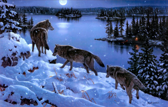 Wolf Wallpaper HD