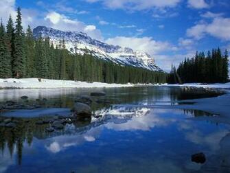 1080p Canada Wallpaper The Home Of Grizzly Bear