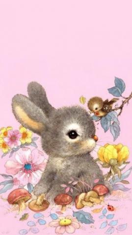Funny Wallpaper iPhone Teddy Bear
