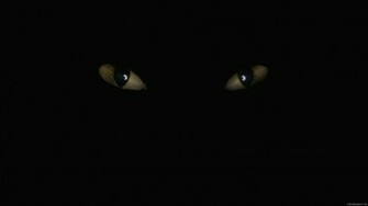 Dark Wallpaper Black Background