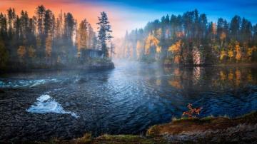River Stream Forest Trees Blurry Wallpaper