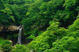 Nature Landscape Forest Tropical Waterfall