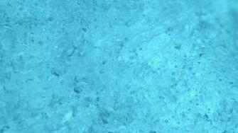 Cyan Background