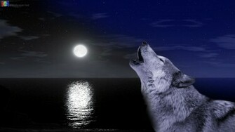 Wolf Wallpaper HD