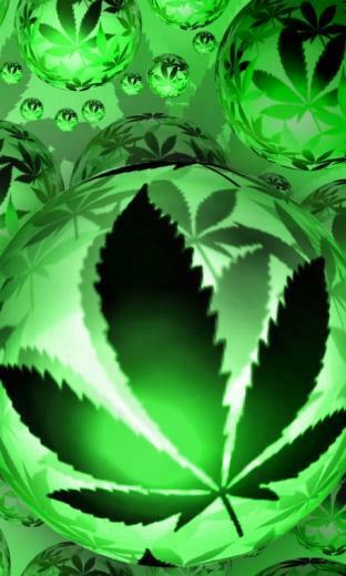 Marijuana Screensavers Hot Girls Wallpaper