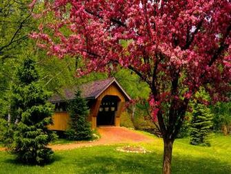 Related Wallpaper From Spring Forest Desktop