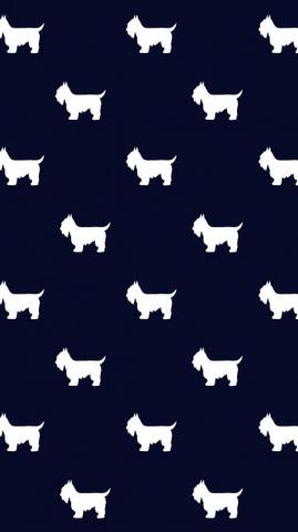 Sofia Notarantonio On Cute Photos Dog Wallpaper iPhone