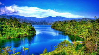 High Resolution Wallpaper Nature