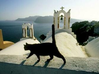 Black Cat On The Church Roof In Greece HD Desktop Wallpaper