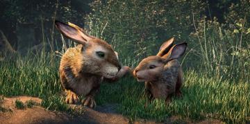 Watership Down The Siege Tv Episode