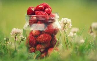 Strawberry On The Glass Wallpaper HD Wallpaperlepi