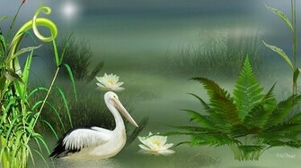 Heron Pond Wallpaper