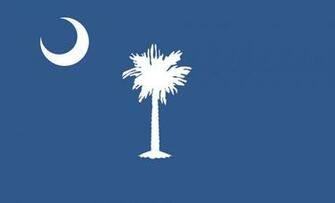 South Carolina State Falg Wallpaper