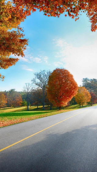 Kingsize Fullscreen Photography Theme Wallpaper