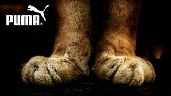 Sport Company Logo HD Wallpaper Artworks