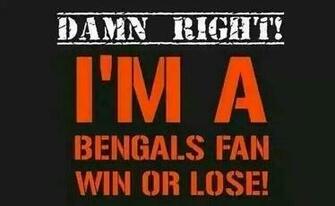 Bengals Meme Wallpaper Whodeynati Cincinnati