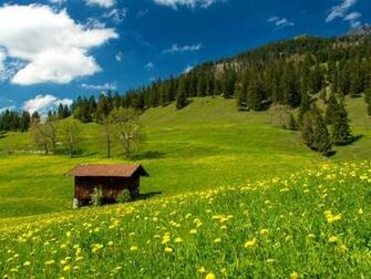 Wallpaper Pasture In The Bavarian Alps Germany Photos And
