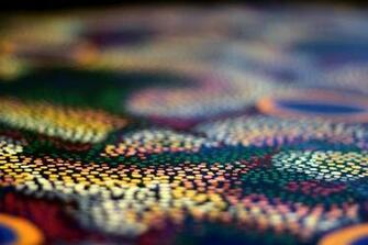 Indigenous Scholarships For Science Meets Parliament