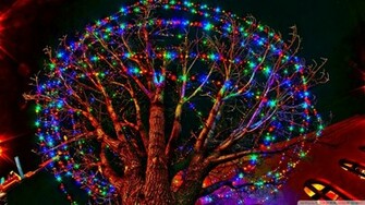 Sunday For Holiday Wallpaper HD Pictures Desktop
