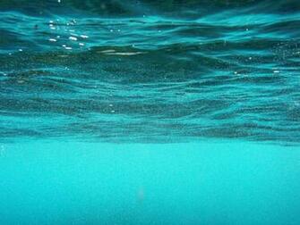 Description Underwater World Jpg