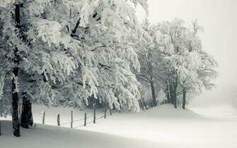 Cute Winter Desktop Wallpaper In HD