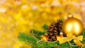 Pine Cone 4k Ultra HD Wallpaper Net