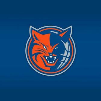 Charlotte Bobcats Wallpaper