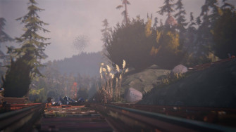 Life Is Strange Wallpaper