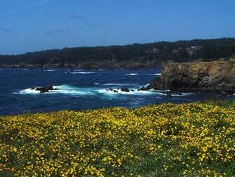 Northern California Beach Background Wallpaper By Design