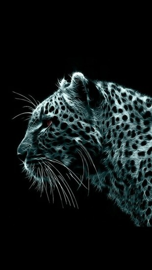 iPhone Wallpaper HD Leopard Background