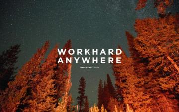 Work Hard Anywhere Wallpaper Nature Tree Natural Landscape Biome