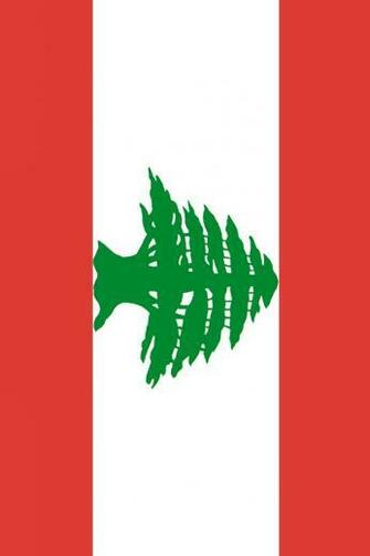 Lebanon Flag iPhone Wallpaper HD