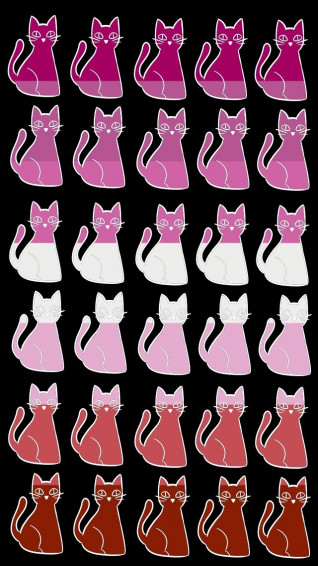 Eli I M Making Cat iPhone Wallpaper There S More