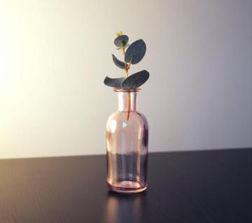 Glass Bottle Pictures Image