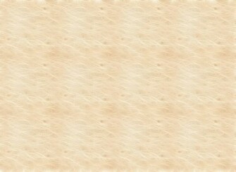 Coarse Neutral Texture A Sepia Beige Ochre Ocher