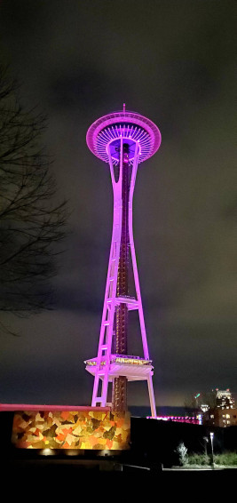 Top Space Needle Wallpaper Full HD 4k To Use