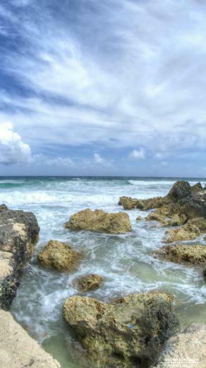 Cozumel Wallpaper Background Kicking Designs