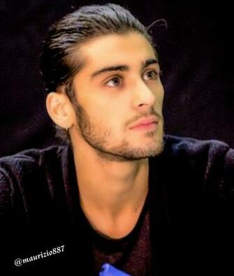 One Direction Zayn Malik Success