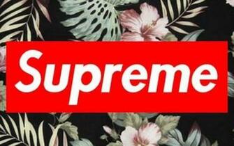 Supreme Floral Wallpaper Group